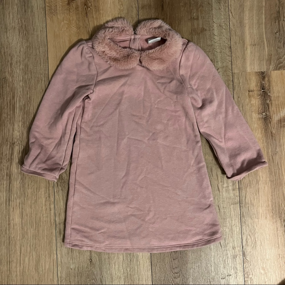 Gap pink fur collar long sleeve dress 3t